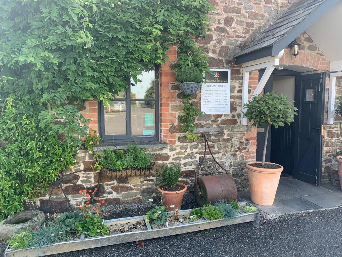 Molesworth Accommodation, Pyworthy, Devon Holsworthy Kültér fotó